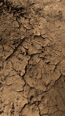 Close-up view of dry and cracked soil texture