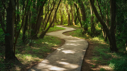 Pathway Through a Forest with sunlight filtering through the trees, concept of  self-discovery and personal growth