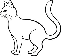Obraz premium cat vector illustration