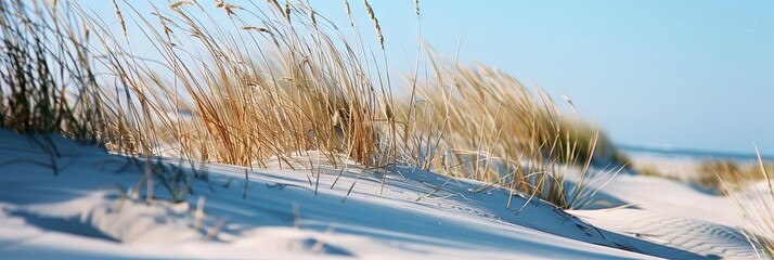 Sand dunes in the desert - natural arid environmental landscape