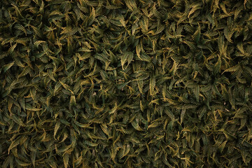 Walls Textures Backgrounds