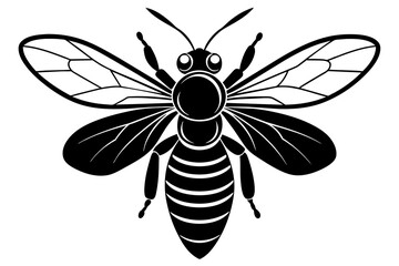 bee silhouette vector illustration