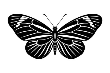 butterfly silhouette vector illustration