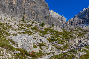 Dolomiti Alps beautiful mountain landscape. Rocky tower alpine summits in the Dolomites. Summer mountain scenic view on the hiking trekking path in the green mountain valley and blue sky with clouds