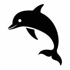 dolphin isolated on white background