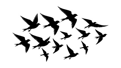 Fototapeta premium set of silhouettes of birds