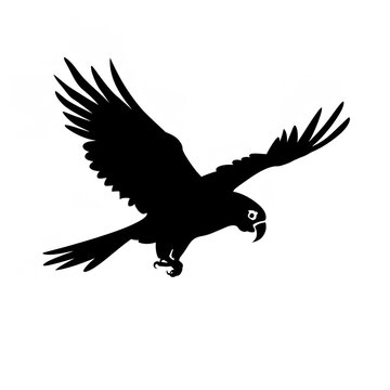 recommend clip art: Black Silhouette of a Flying Parrot: Simple and Clean