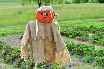 Scarecrow