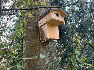 Beautiful wooden birdhouse hanging on tree trunk in park