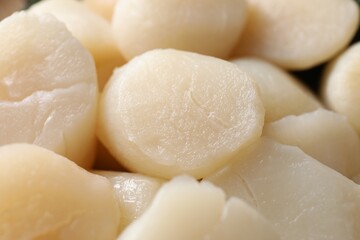Fresh raw scallops as background, closeup view