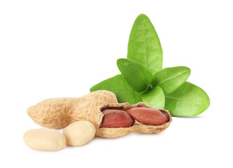 Unpeeled peanuts and leaves isolated on white