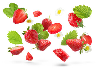 Ripe strawberries and flowers in air on white background