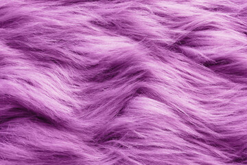 Obraz premium Texture of purple faux fur as background, closeup