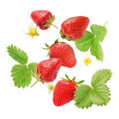 Ripe strawberries and flowers in air on white background