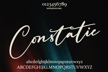 signature Font Calligraphy Logotype Script Brush Font Type Font lettering handwritten