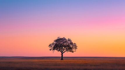 the silhouette of alone tree against a canvas of pastel hues during the magical hour of twilight