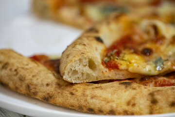 Traditional artisanal pizza with long-maturing dough