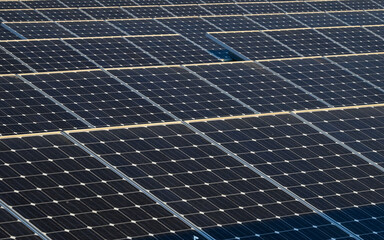 Photovoltaic Solar Panels in Solar Farm