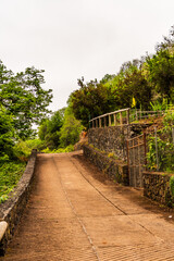 Sendero en la Corujera, Tenerife.
