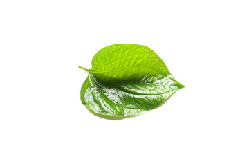 Wild Betel Leafbush antioxidant different. Other Diabetes 