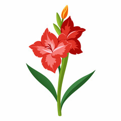  gladiolus beautiful flower summer vector illustration.