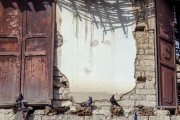 Some pigeons perched in what it is left of a cornice, in a ruined abandoned house in the town of Arcabuco, in the eastern Andean mountains of central Colombia.