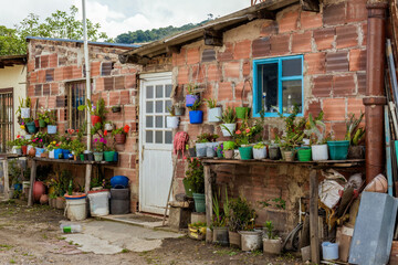 The facade of a small house with a lot of plants growing in plastic improvised pots, in the town of...