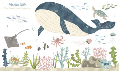 海洋生物たちのイラスト © 桜 みずき