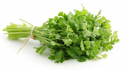 Fototapeta premium bunch of fresh chervil isolated on white background. clean fresh vegetables concept for deisgner