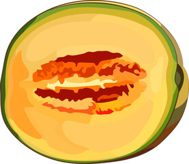 melon cut in half graphic summer design