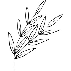 illustration of a branch with leaves