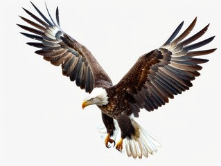 Fototapeta premium Majestic Bald Eagle Soaring Through the Sky