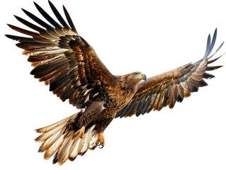 Obraz premium Majestic Bald Eagle Soaring Through the Sky