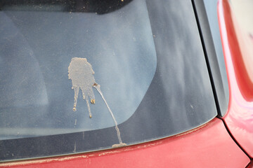 dirty bird shit stain on car glass from using in daily life, stain for cleaning concept.