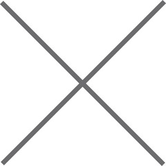 decorative vintage ornament frame