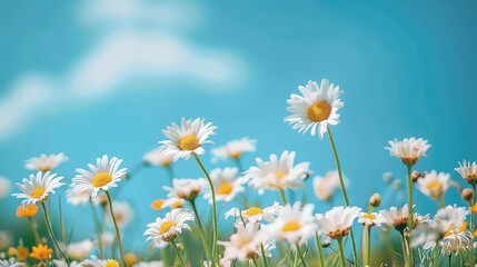 Closeup of daisy flower field. Blue sky is visible. generated with AI