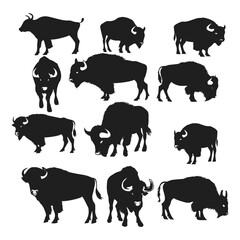 Obraz premium Long horn cattle animals america forest silhouette Vector