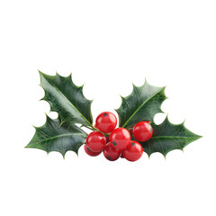 Close-up of vibrant red holly berries with glossy green leaves on a white background. Perfect for holiday and seasonal themes. transparent backgrounds
