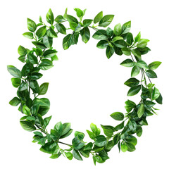 Naklejka premium A circular wreath made of green leaves isolated on a white background, symbolizing nature, freshness, and environmental beauty. transparent backgrounds