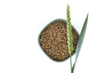 Wheat grains in a bowl with a wheat spike and leaf on a white background