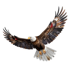 Majestic Bald Eagle with American Flag Wings Soaring in Patriotic Splendor