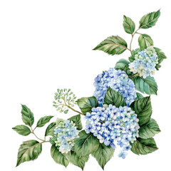 Blue and green watercolor hydrangea.