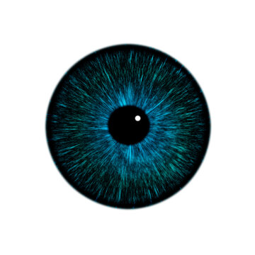 recommend clip art: Pupilla 