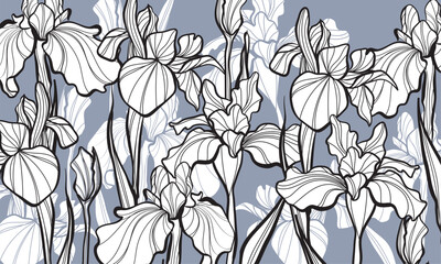 Set of Beautiful Iris Flower Line Art Illustration. Sketch of blossoming irises. Vector Iris floral botanical flower. Wild spring leaf wildflower isolated. Isolated irises illustration element.