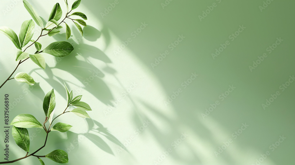 Poster an aesthetic copyspace image showcasing nature element like leaf and tree with its shadow being cast