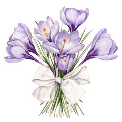 Crocus flower