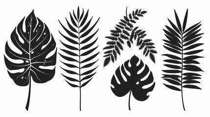 Silhouettes of Various Tropical Leaves