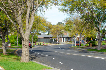 A suburban road lined with lush green trees and residential houses. A quiet and clean residential...