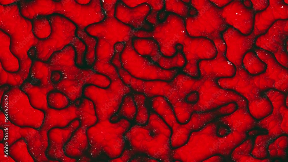 Wall mural abstract wormy structure with patterns on a red background.