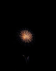 Fototapeta premium 打上げ花火